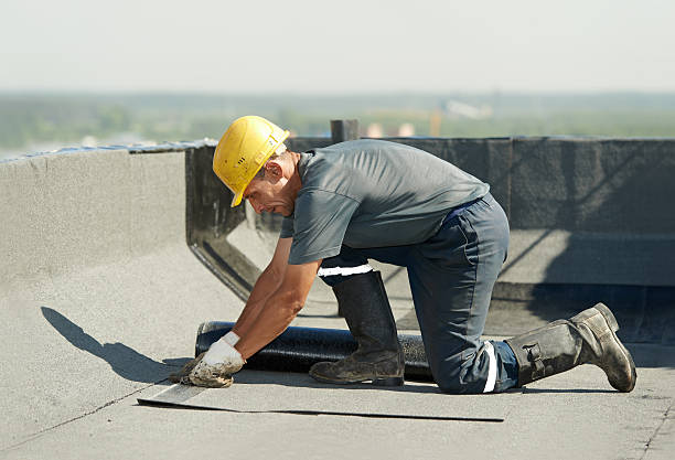 Best Eco-Friendly Insulation in Mary Esther, FL