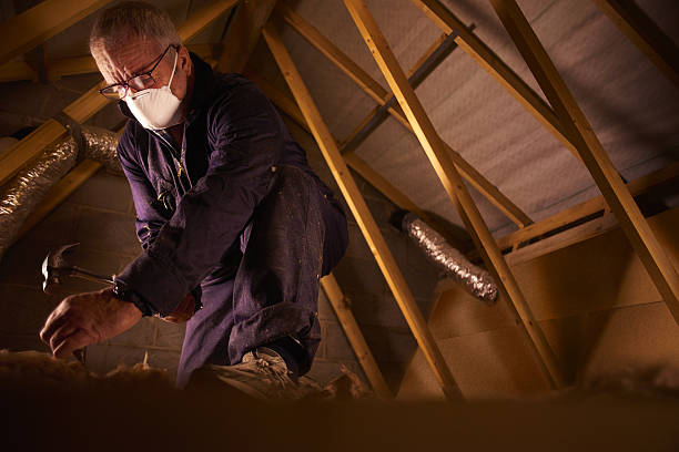 Best Specialized Insulation Services in Mary Esther, FL